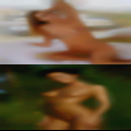 Naked women from Butler